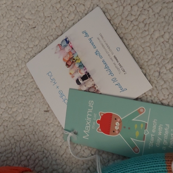 Maximus the Cat cuddle + kind - Picture 4 of 6